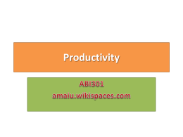 Productivity - amaiu