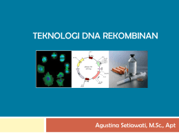 DNA rekombinan