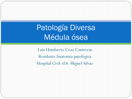 Patología diversa en Médula ósea