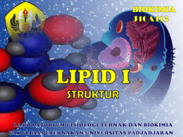 Lipid - suatu senyawa organik / Biomolekul yang
