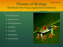 Themes of Biology