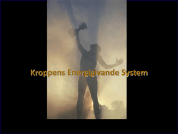 4-1 energigivande system