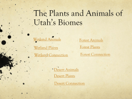 The Plants and Animals of Utah`s Biomes