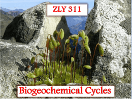 Lecture Slides for Biogeochemical Cycles 311