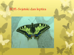 Svjetski_dan_leptira - Osnovna škola Marije i Line Umag
