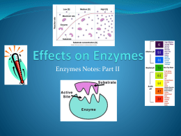 Enzymes and Denaturing