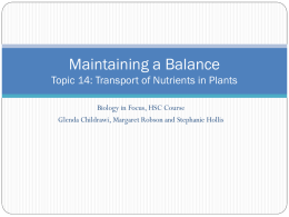 14.1.1 Transport of Nutrients in Plants