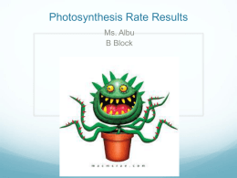 Photosynthesis Data B Block