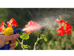 Pesticides and Buying Organic PowerPoint