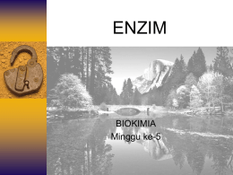 Minggu 5_ENZIM - WordPress.com