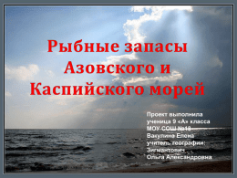 Презентация "Рыбные запасы Азовского и Каспийского морей".