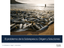 derechos de acceso
