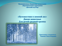 Путешествие в зимний лес - МБДОУ "Детский сад №25"