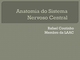Anatomia do Sistema Nervoso Central (Medula e