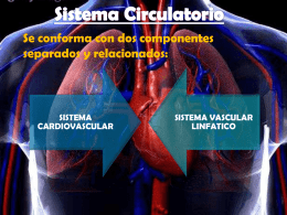 SISTEMA CARDIOVASCULAR - Histologia EUCS/UNAH-VS