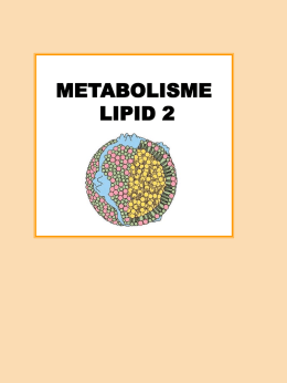 lipid amfipatik ( fosfolipid dan kolesterol )