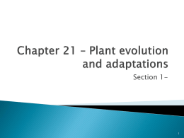 Chapter 21 * Plant evolution and adaptations