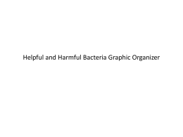 Helpful and Harmful Bacteria Graphic Organizer PP