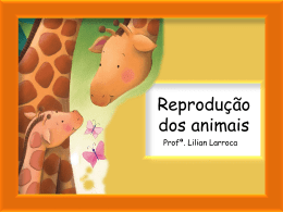 Reprodução dos animais