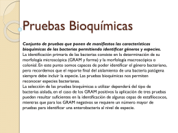 PRUEBAS BIOQUIMICAS - WordPress.com
