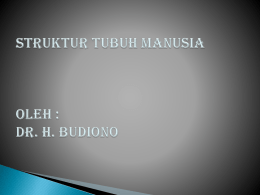STRUKTUR TUBUH MANUSIA