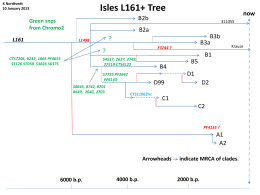 Tree for L161