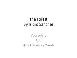 The Forest By Isidro Sanchez