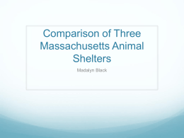 Comparison of Three Massachusetts Animal Shelters