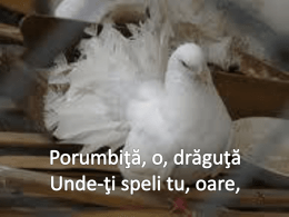 Porumbita, o draguta