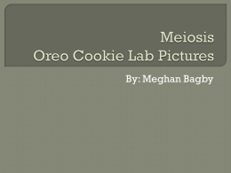 Meiosis Oreo Cookie Lab Pictures