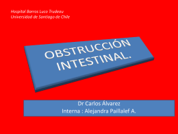 Obstrucción intestinal. Interna Alejandra Paillalef.