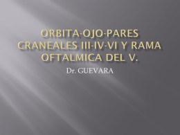 ORBITA-OJO-PARES CRANEALES II-III-IV