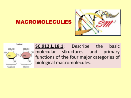 macromolecules - Science Math Master