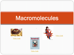 Macromolecules - Science Math Master