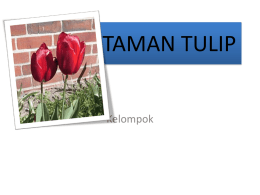ppt taman tulip