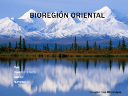 Biorregion Oriental