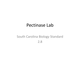 Pectinase Lab