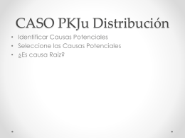 CASO PKJu Distribución