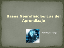 Clase 2 Bases - Psicologia-ULA