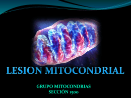 poro de transición de la permeabilidad mitocondrial