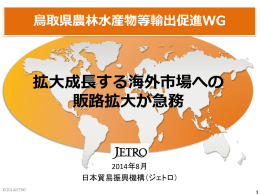 JETRO輸出資料（パワーポイント：2398KB