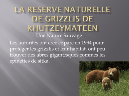 La Reserve Naturelle De Grizzlis De Khutzeymateen