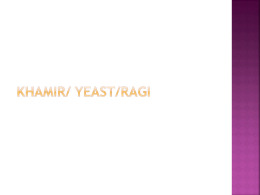 KHAMIR/ YEAST/RAGI