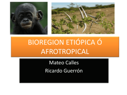 BIOREGION ETIÓPICA Ó AFROTROPICAL