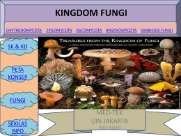 fungi - WordPress.com