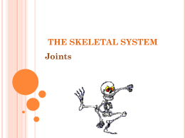 THE SKELETAL SYSTEM JOINTS