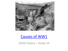 Causes of WW1 - WordPress.com