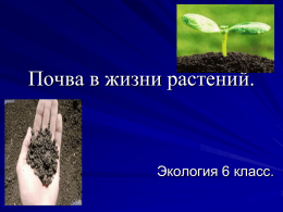 Презентация: "Почва в жизни растений"