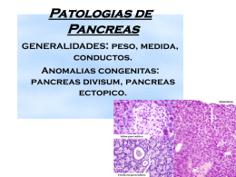 Pancreas - patounphu