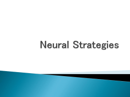 Neural Strategies